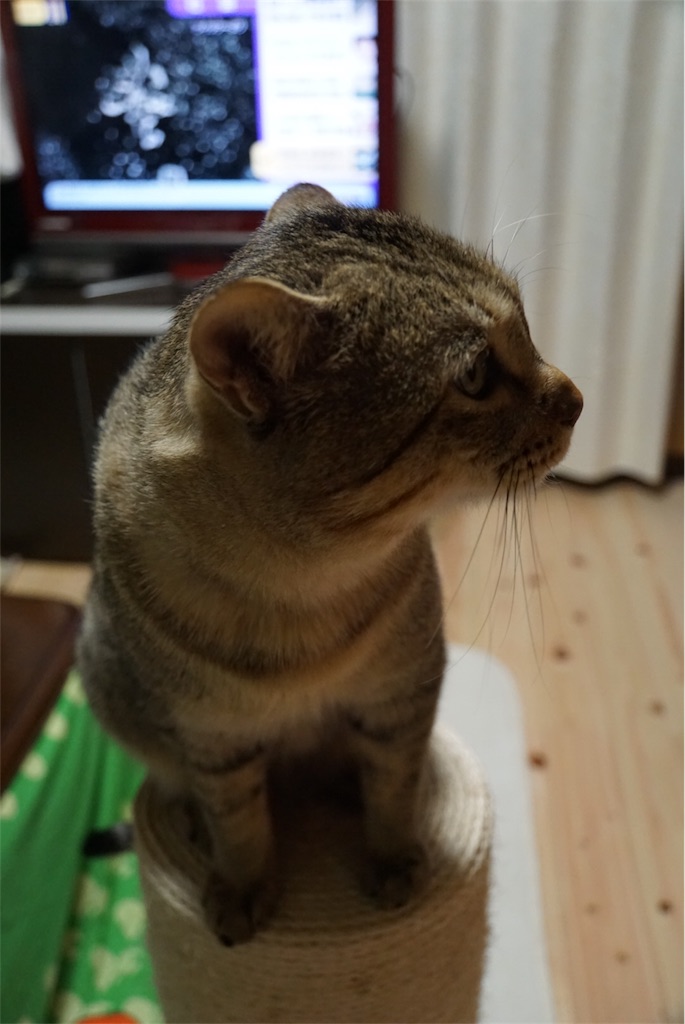 f:id:annesea:20161213004650j:image