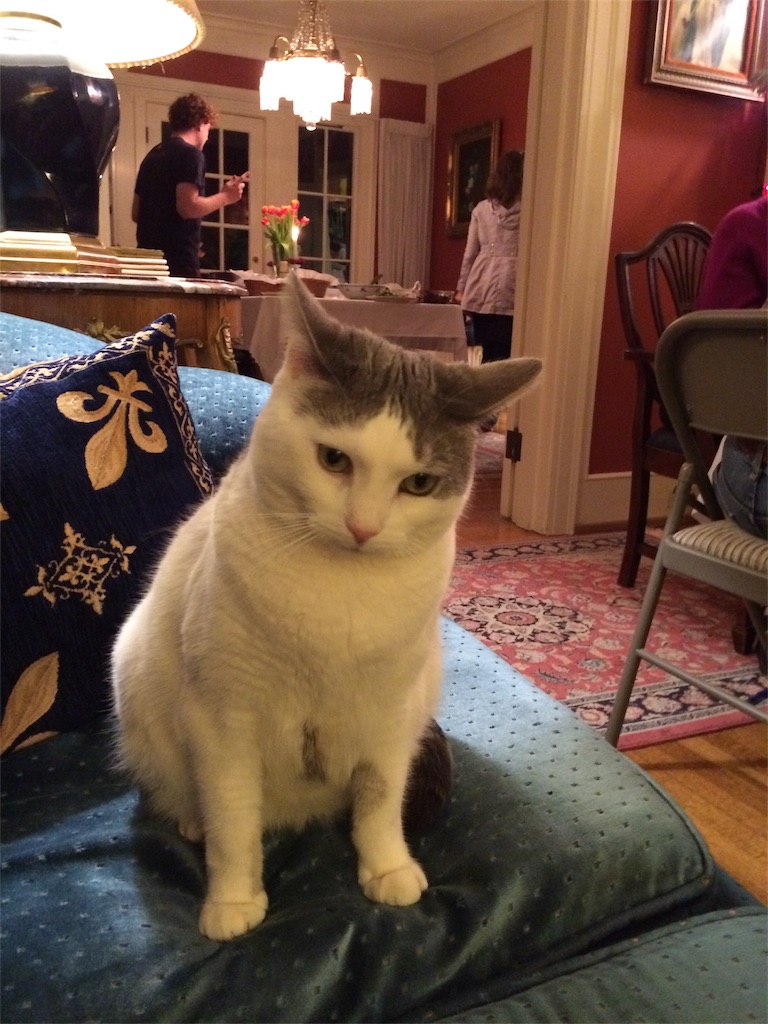 f:id:annesea:20161225212931j:image f:id:annesea:20161225212931j:image