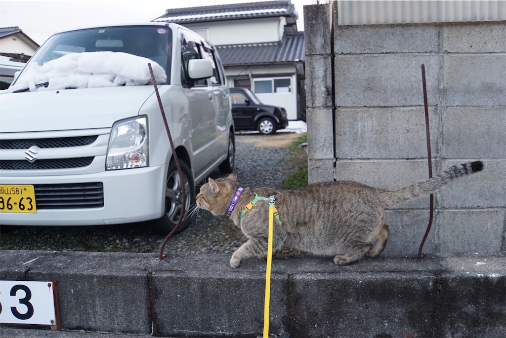 f:id:annesea:20170122225725j:image