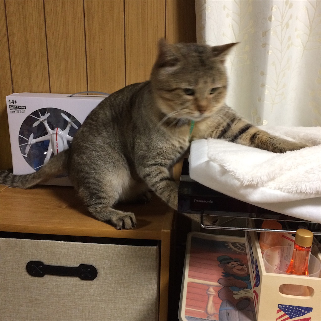 f:id:annesea:20170202203158j:image