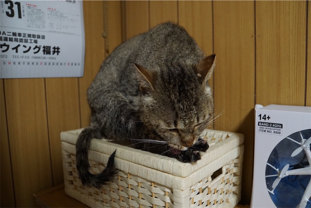 f:id:annesea:20170430012117j:image f:id:annesea:20170430012117j:image