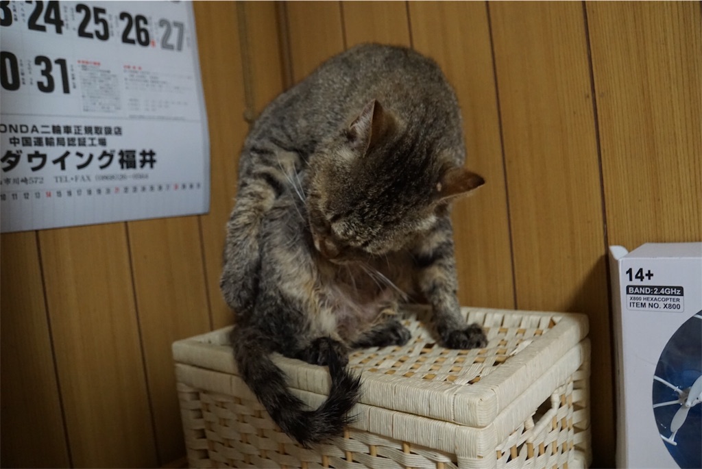 f:id:annesea:20170430012153j:image f:id:annesea:20170430012153j:image