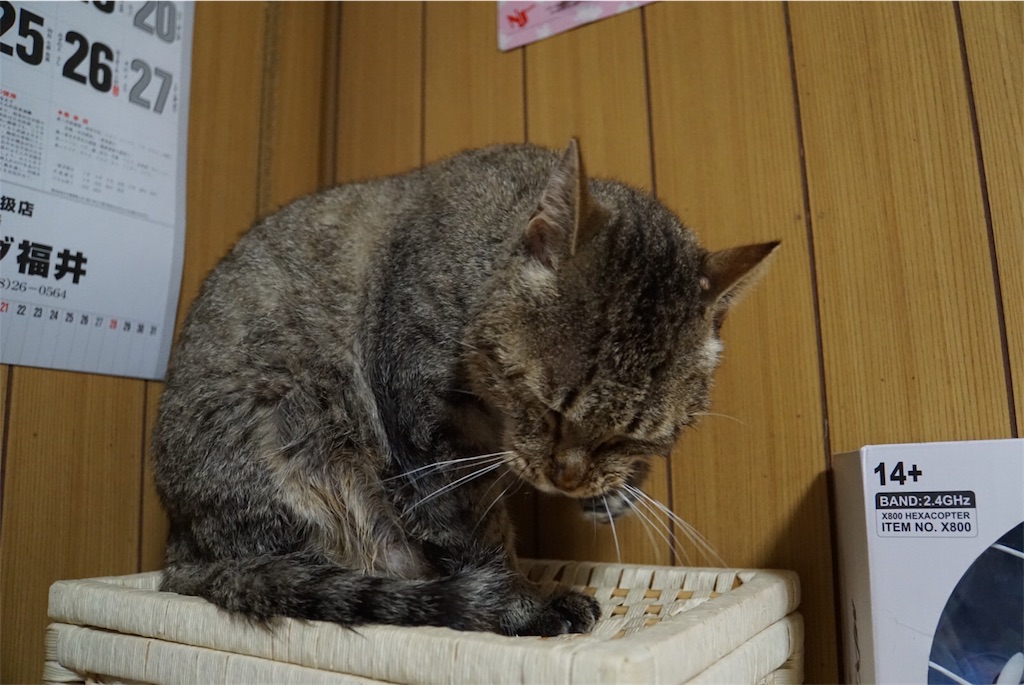 f:id:annesea:20170430012218j:image f:id:annesea:20170430012218j:image