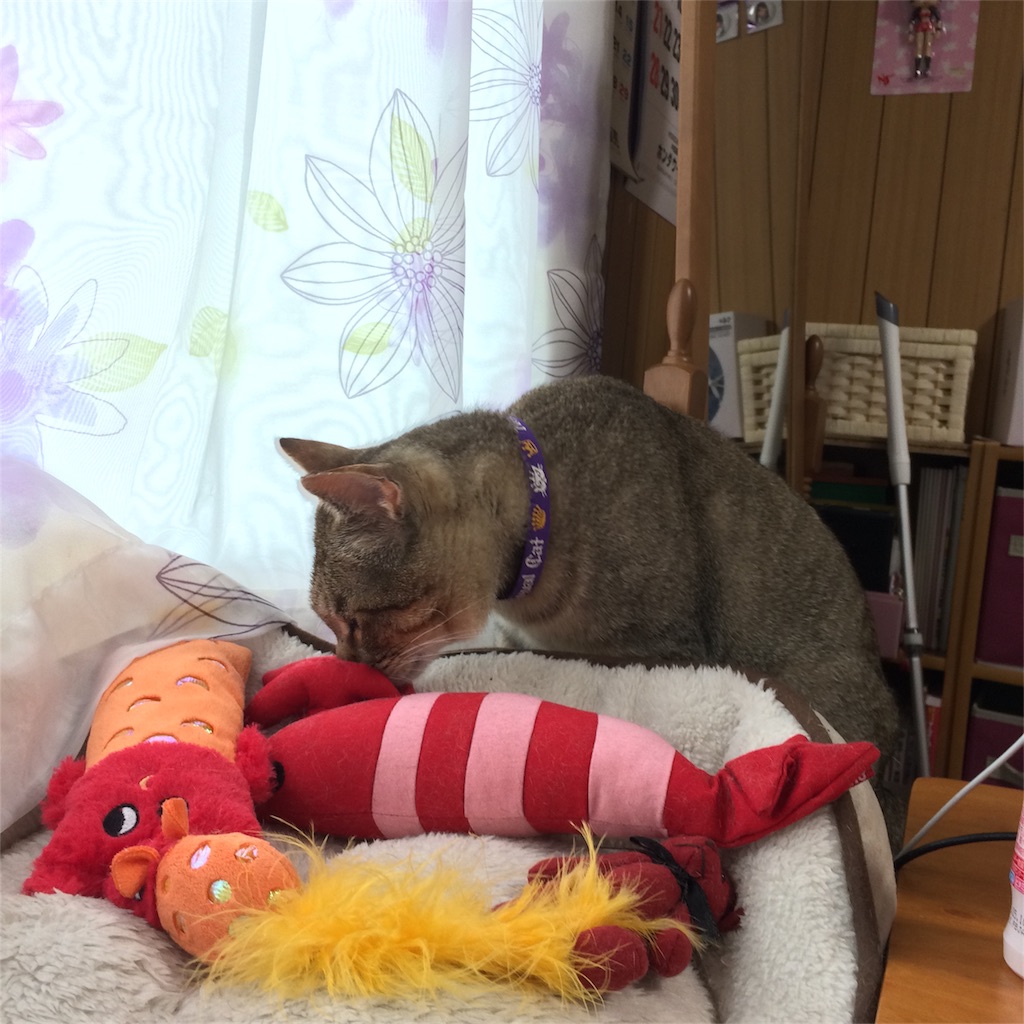f:id:annesea:20170511194207j:image
