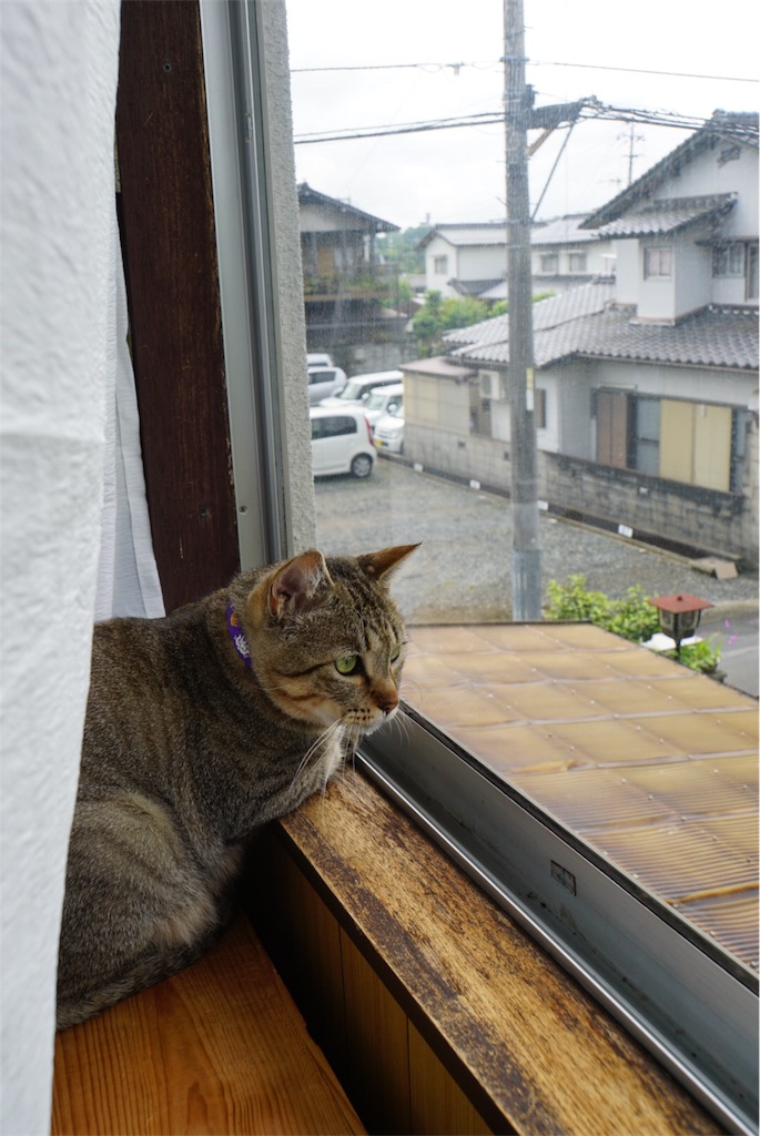 f:id:annesea:20170526213449j:image f:id:annesea:20170526213449j:image