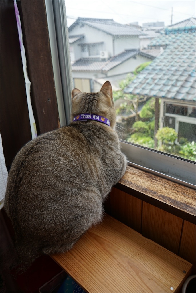 f:id:annesea:20170526213556j:image f:id:annesea:20170526213556j:image