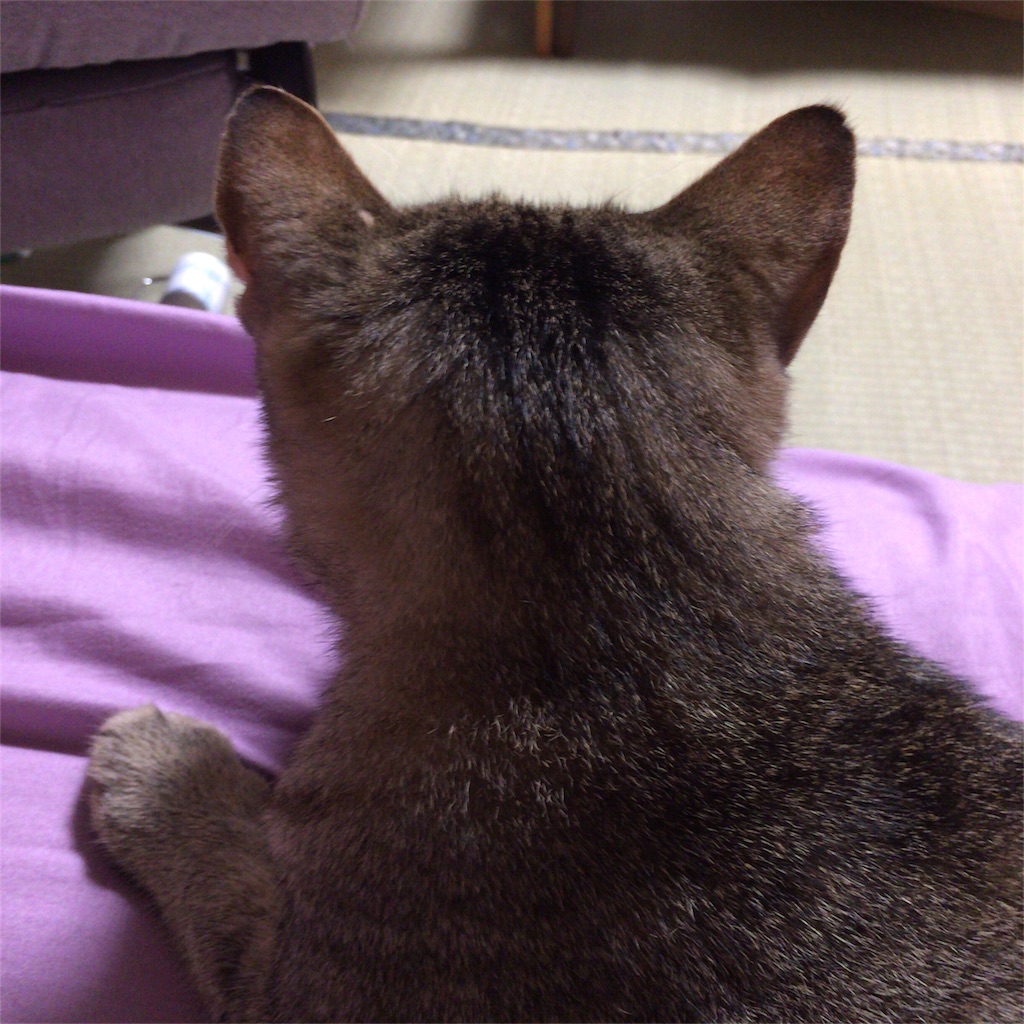 f:id:annesea:20170713224024j:image