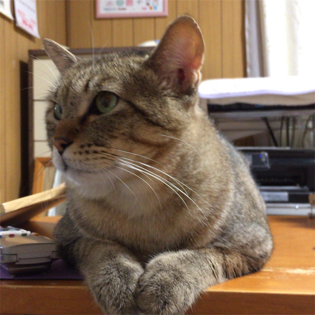 f:id:annesea:20170804103713j:image