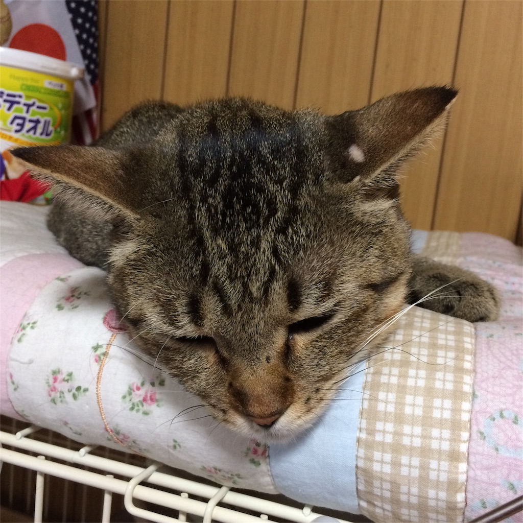 f:id:annesea:20170915194218j:image f:id:annesea:20170915194218j:image