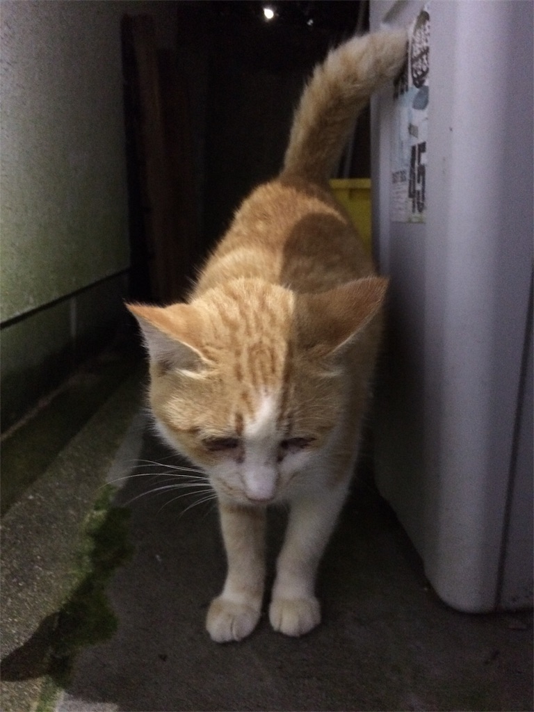 f:id:annesea:20170922220234j:image