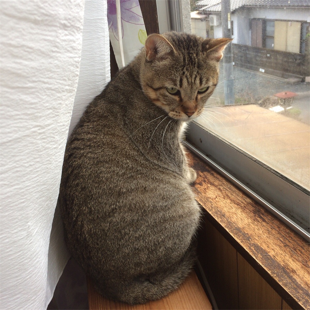 f:id:annesea:20171024075405j:image