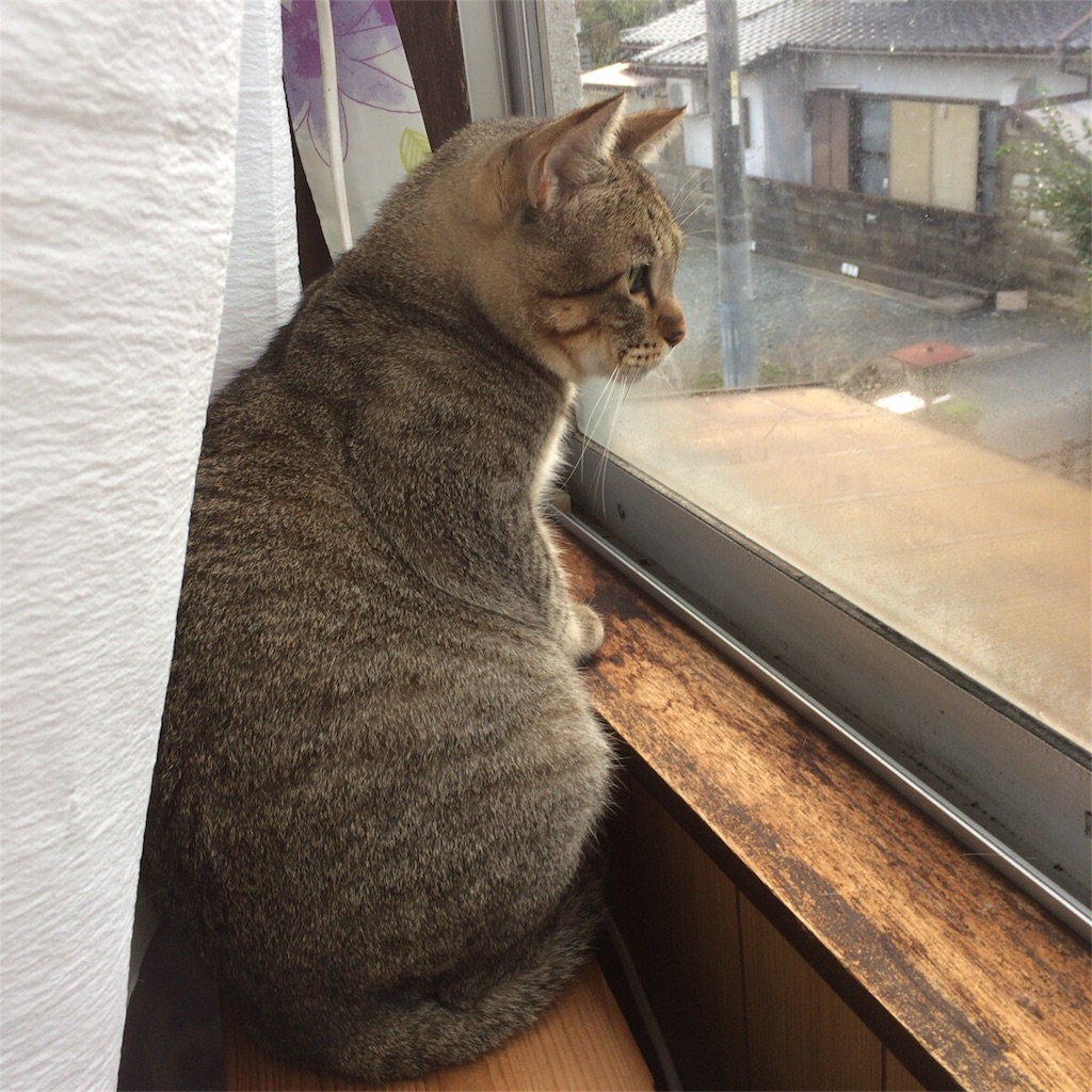 f:id:annesea:20171024075422j:image