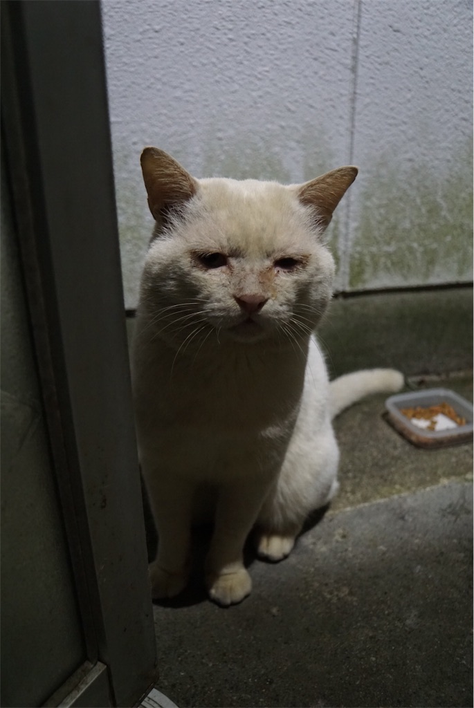 f:id:annesea:20171102163015j:image f:id:annesea:20171102163015j:image