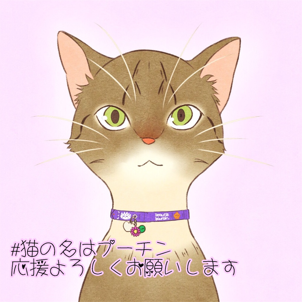 f:id:annesea:20171103220135j:image