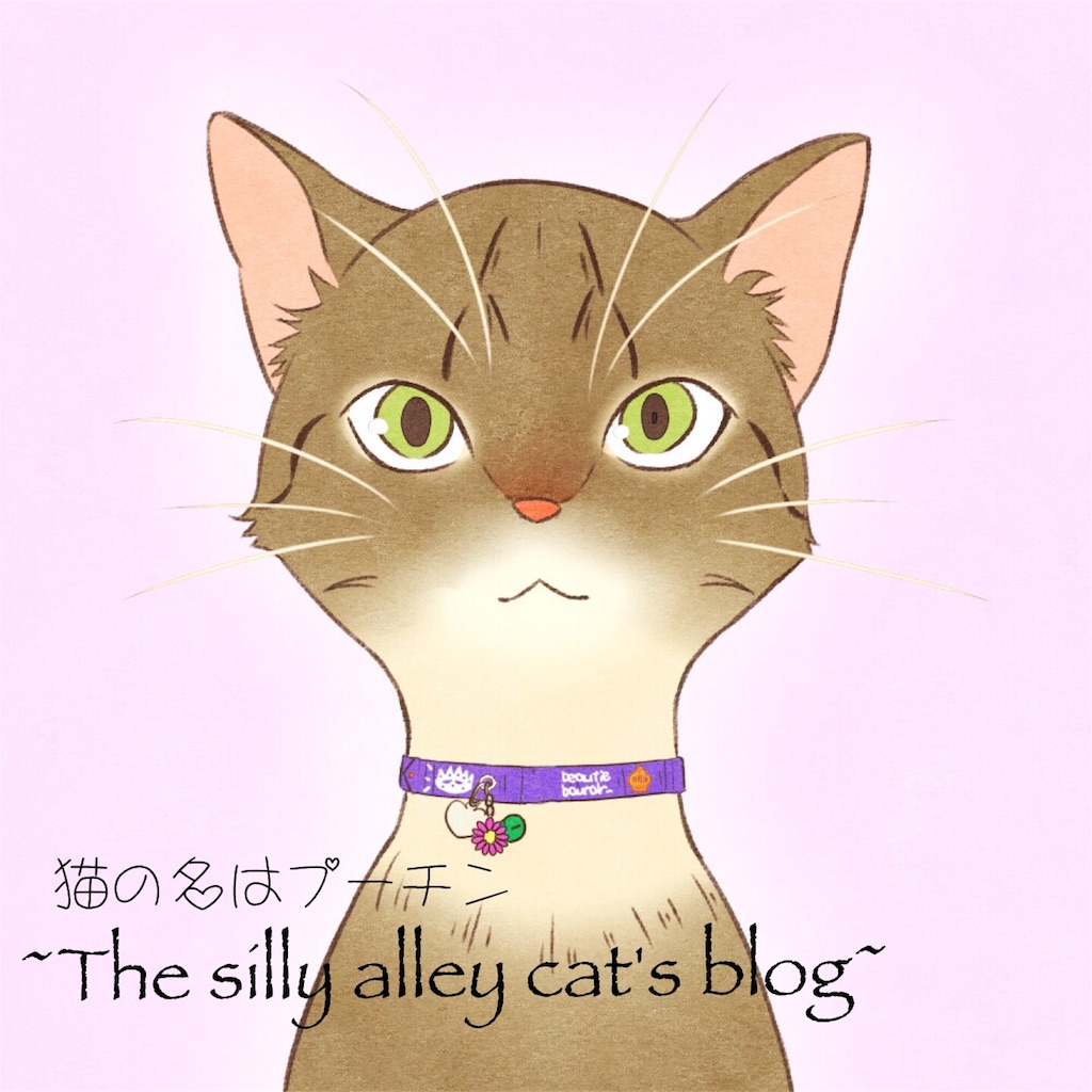 f:id:annesea:20171103220215j:image