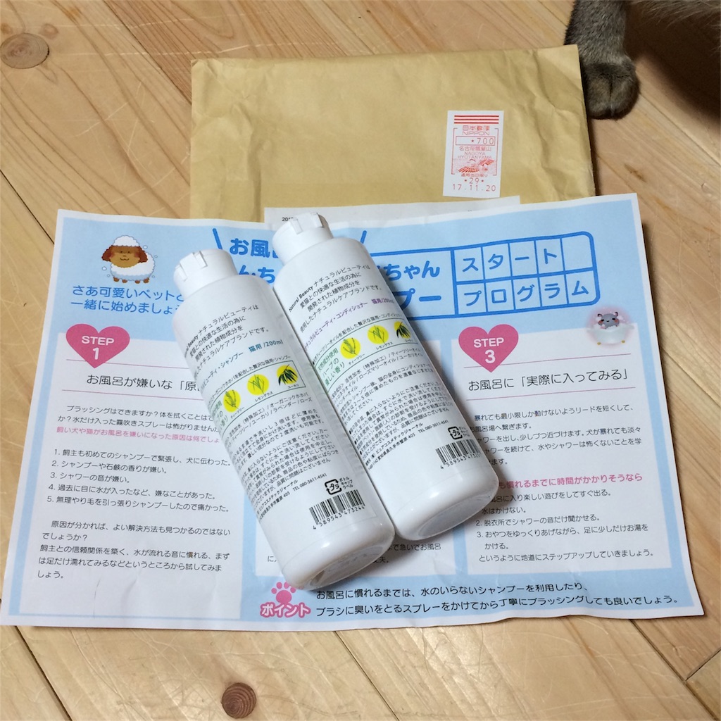 f:id:annesea:20171123135551j:image