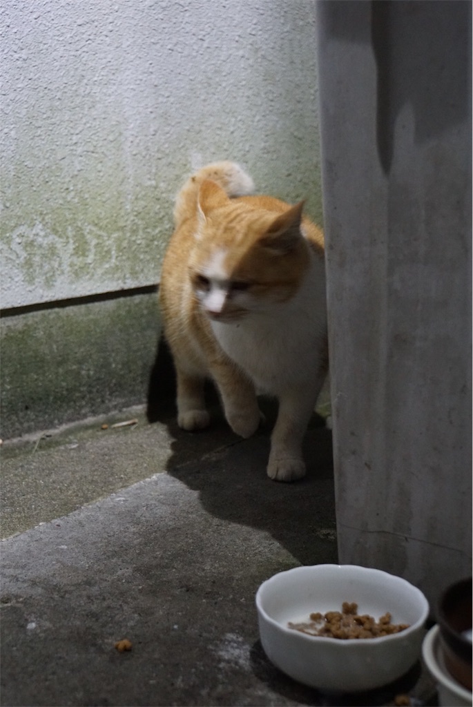 f:id:annesea:20171224004742j:image