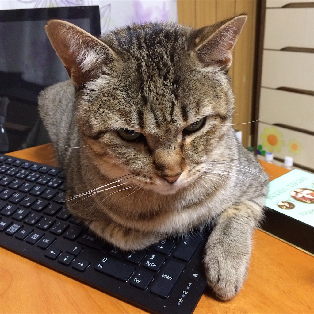 f:id:annesea:20180103003426j:image f:id:annesea:20180103003426j:image