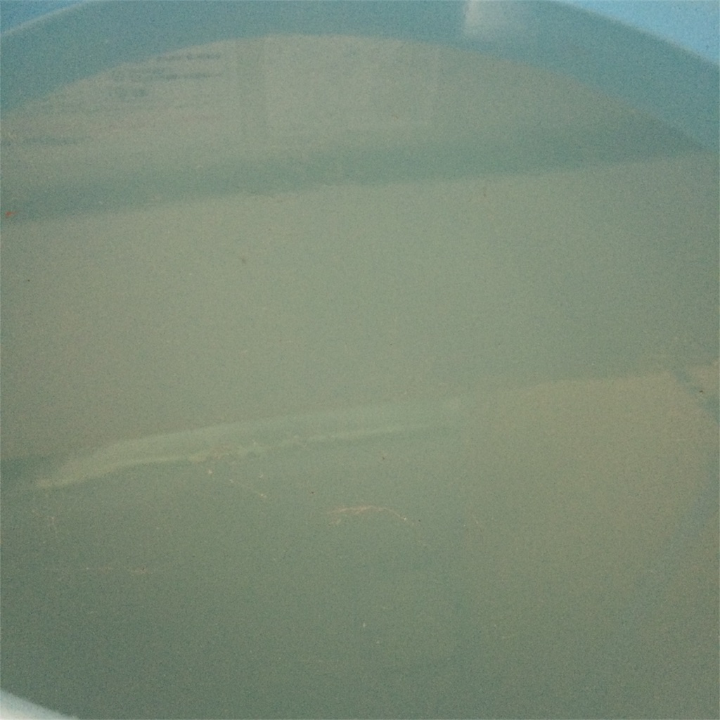 f:id:annesea:20180206220216j:image