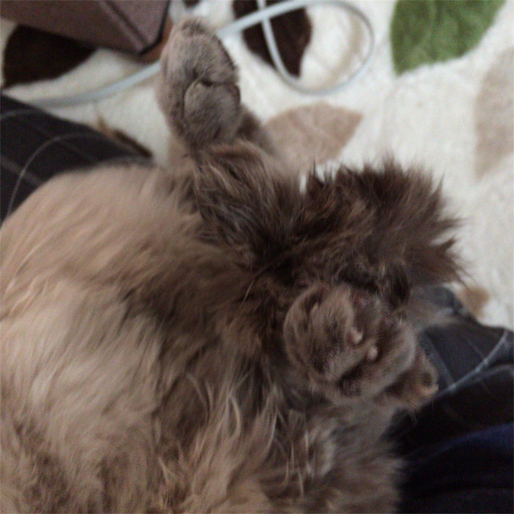 f:id:annesea:20180206220453j:image