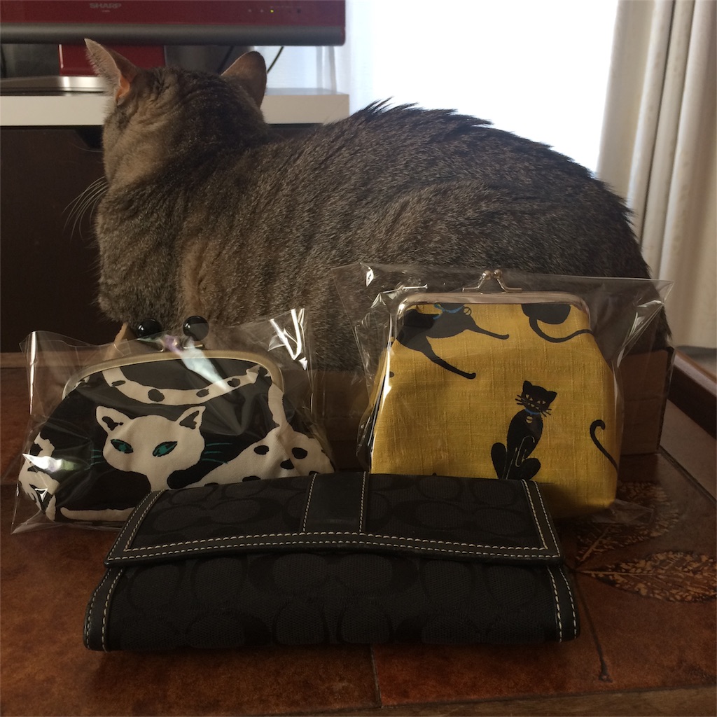 f:id:annesea:20180321204941j:image