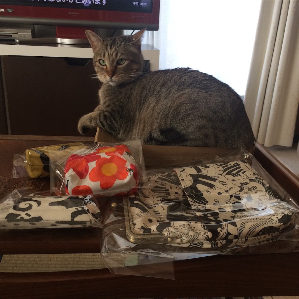 f:id:annesea:20180321230907j:image