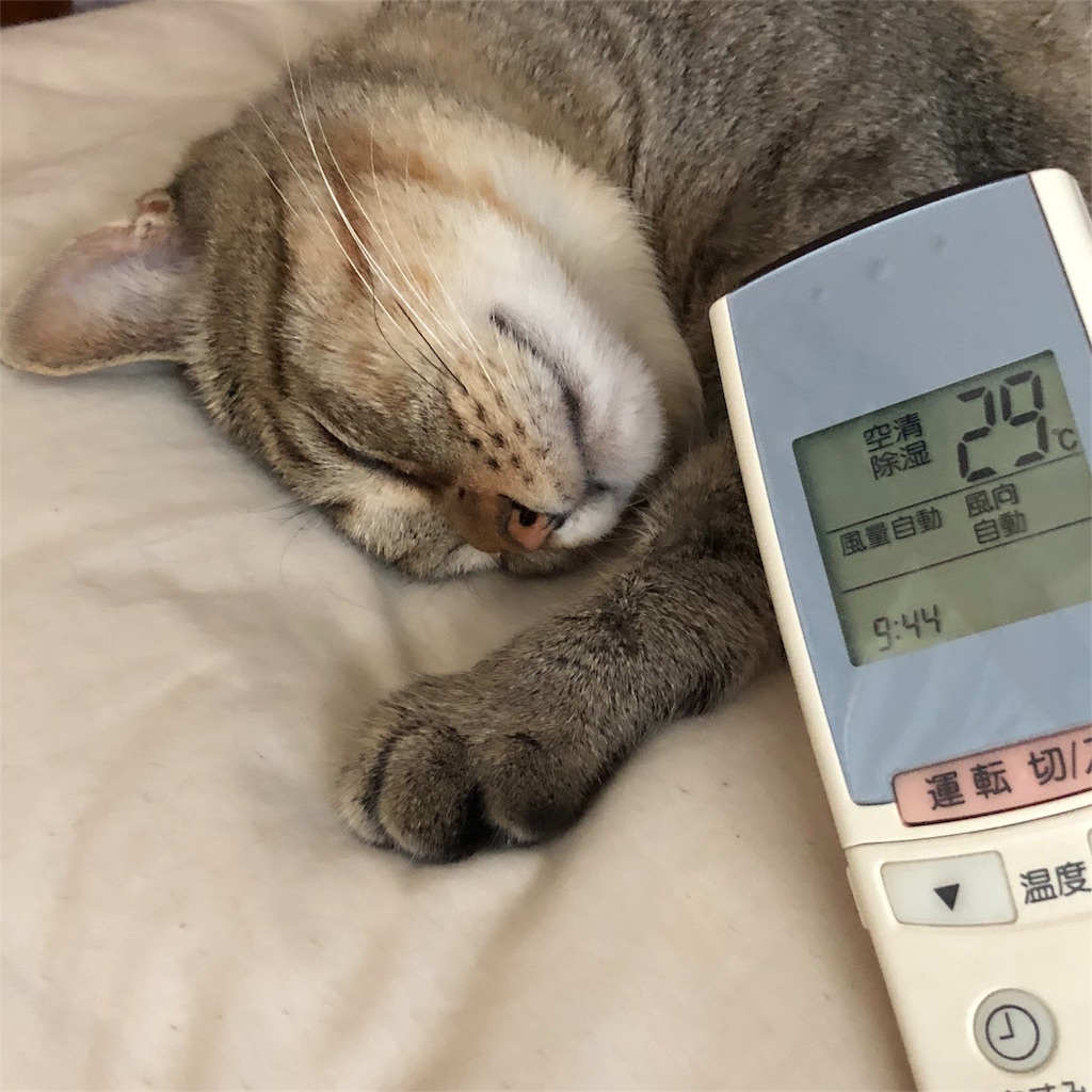 f:id:annesea:20180724094657j:image