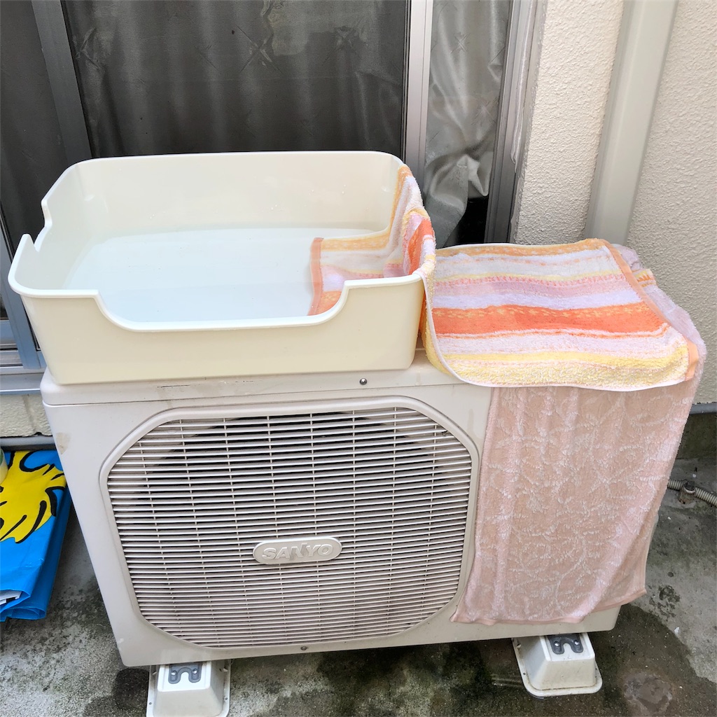 f:id:annesea:20180724161651j:image
