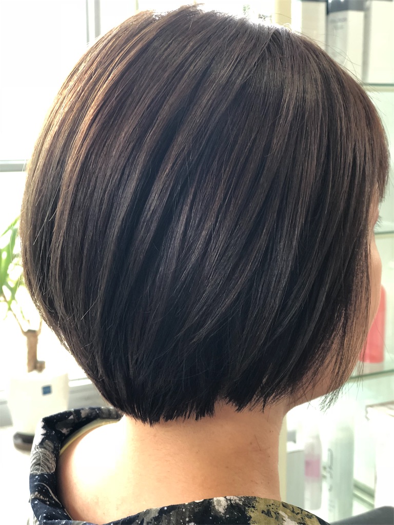 f:id:annesea:20180803191018j:image f:id:annesea:20180803191018j:image