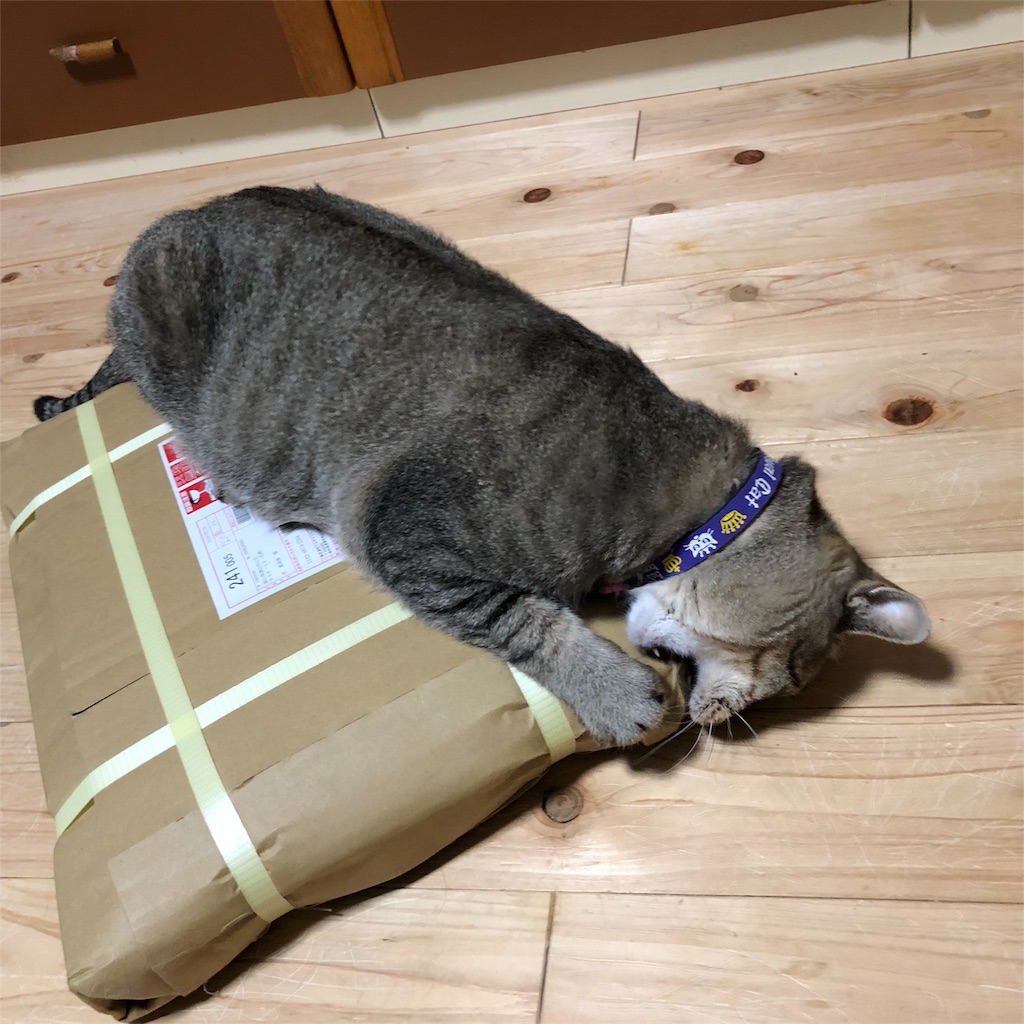 f:id:annesea:20180804230850j:image f:id:annesea:20180804230850j:image