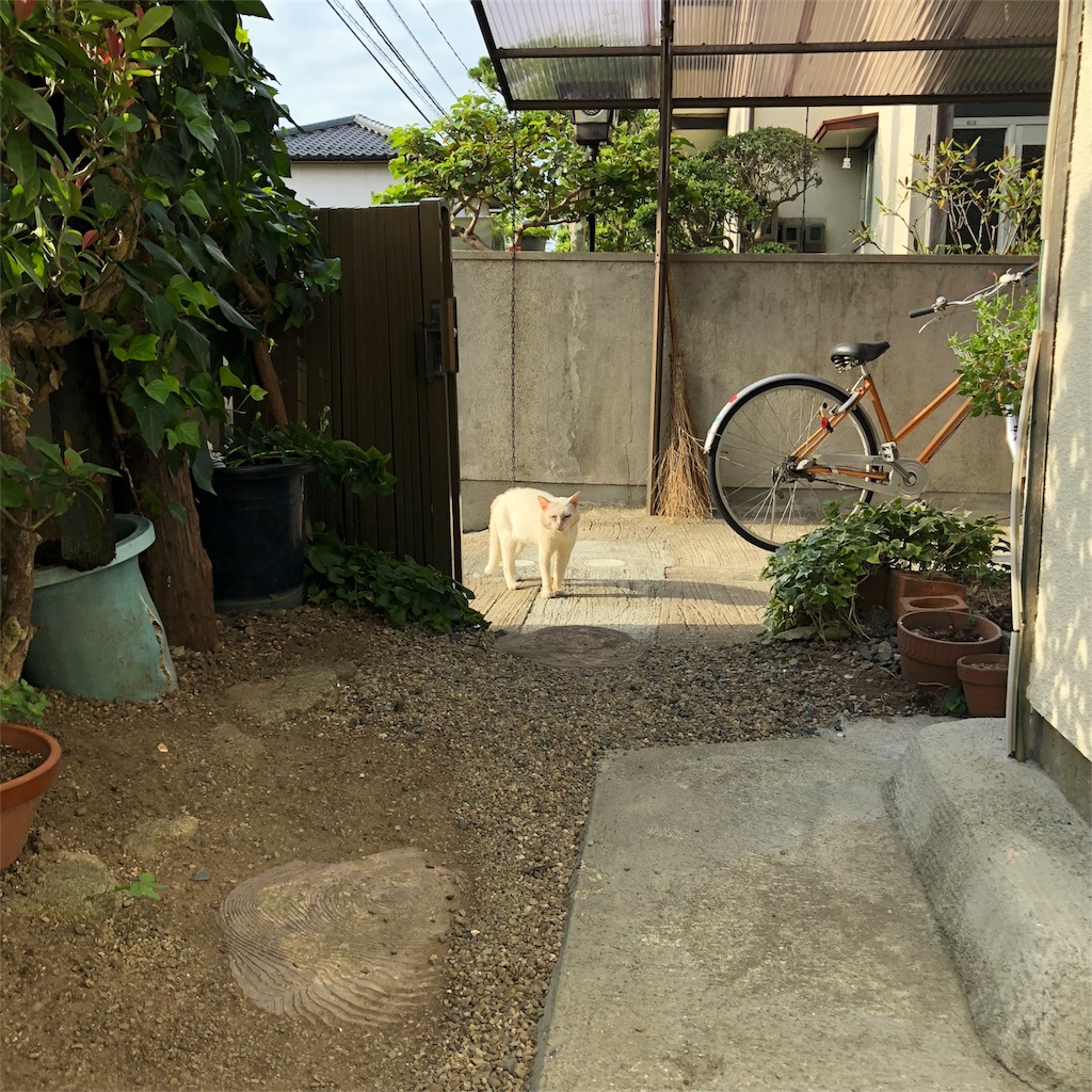 f:id:annesea:20180823001026j:image