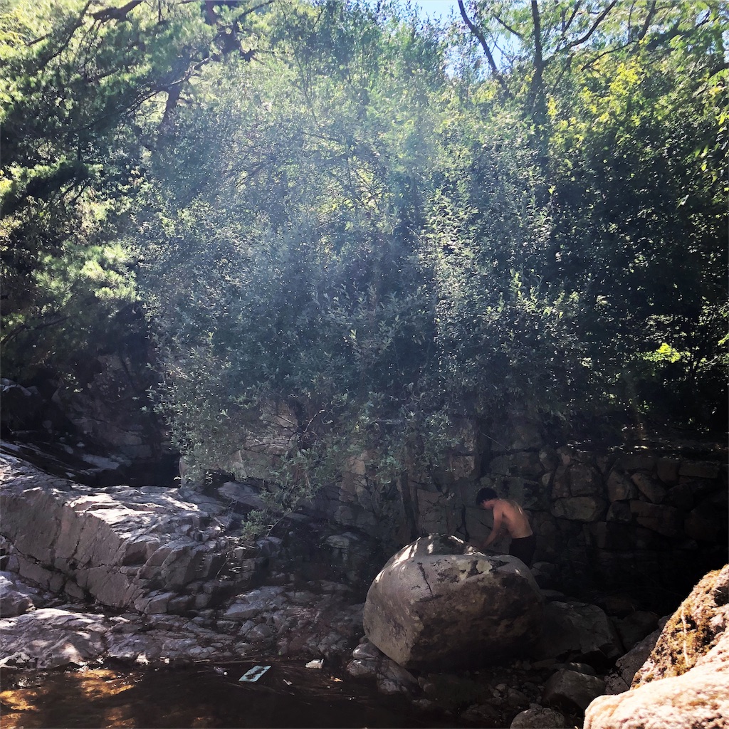 f:id:annesea:20180826214946j:image f:id:annesea:20180826214946j:image