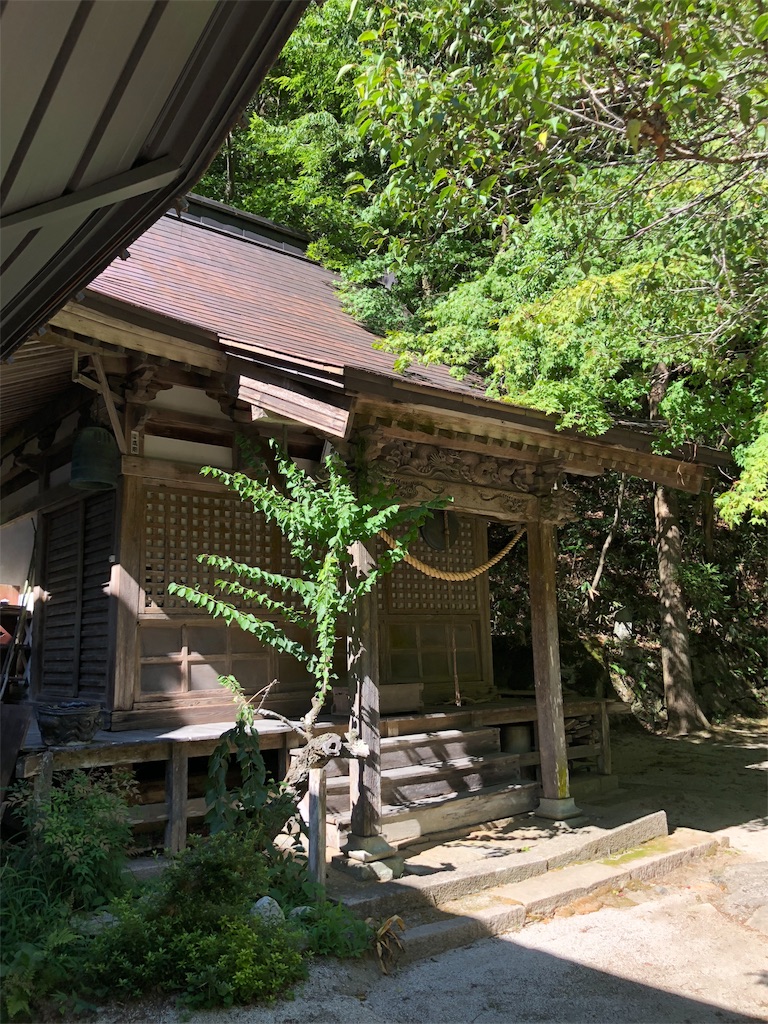 f:id:annesea:20180826215106j:image f:id:annesea:20180826215106j:image