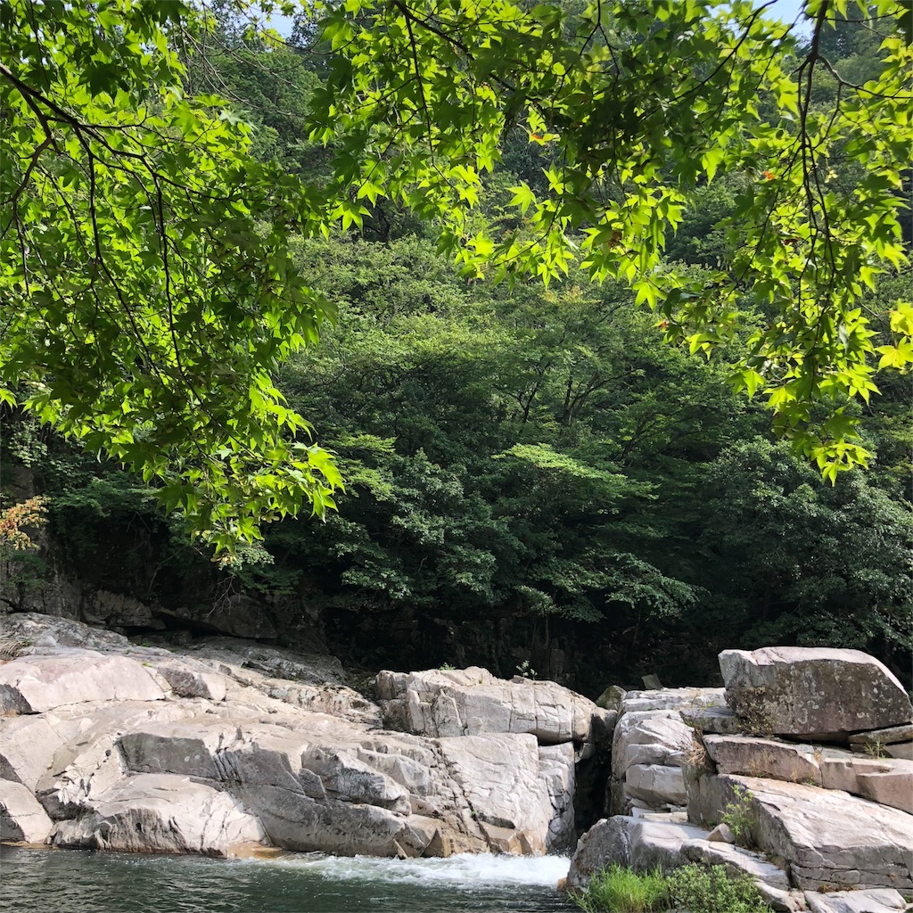 f:id:annesea:20180901234504j:image