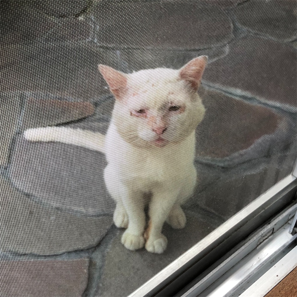 f:id:annesea:20180906233126j:image