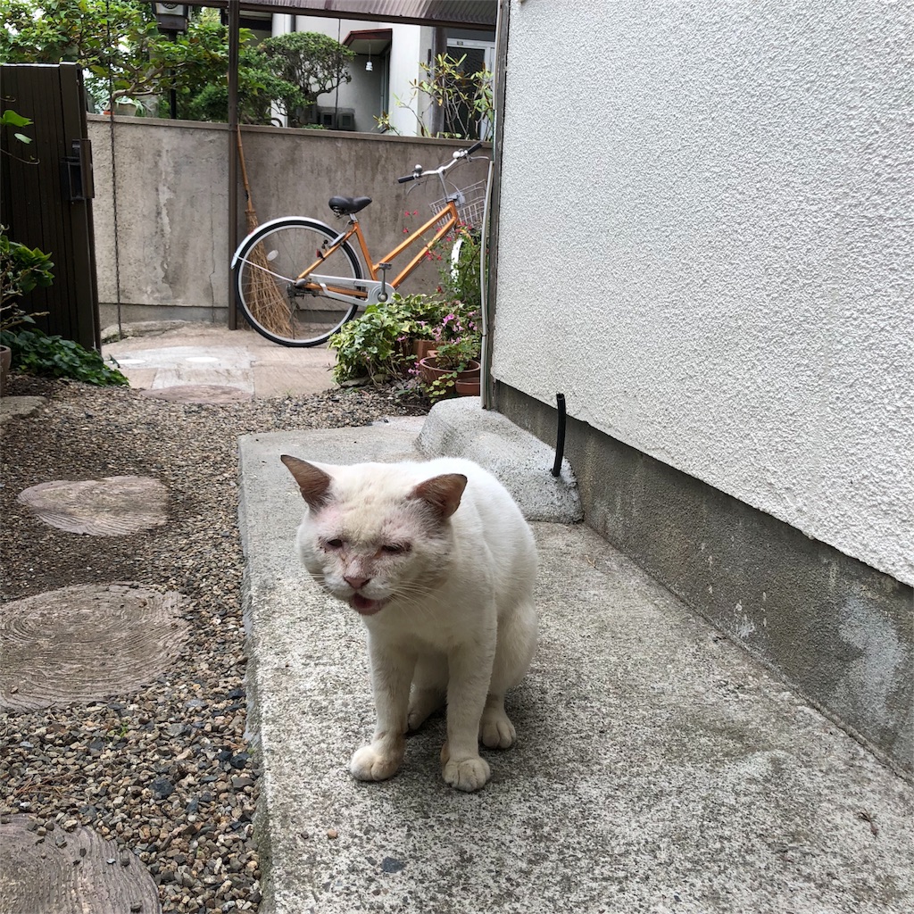 f:id:annesea:20180906233158j:image
