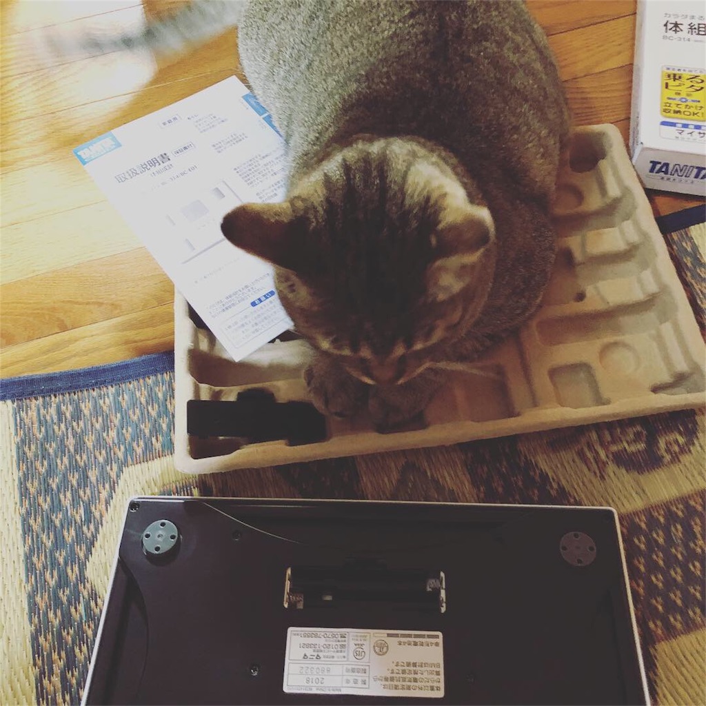 f:id:annesea:20180919235322j:image