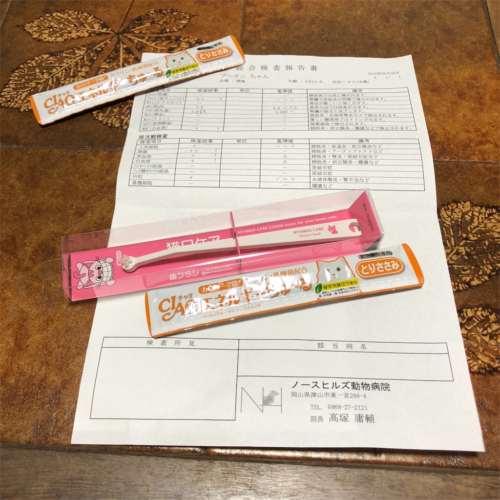 f:id:annesea:20180928235436j:image