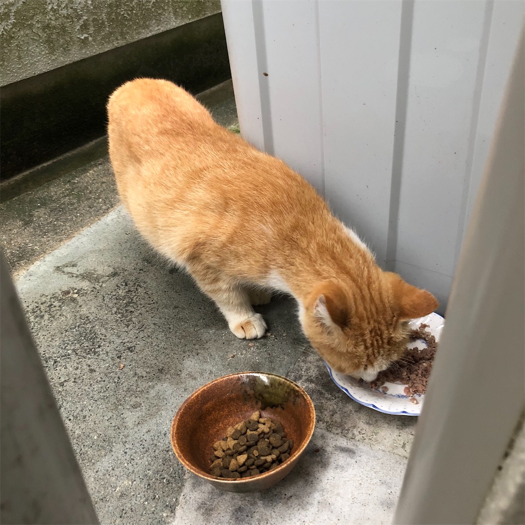 f:id:annesea:20181002224336j:image