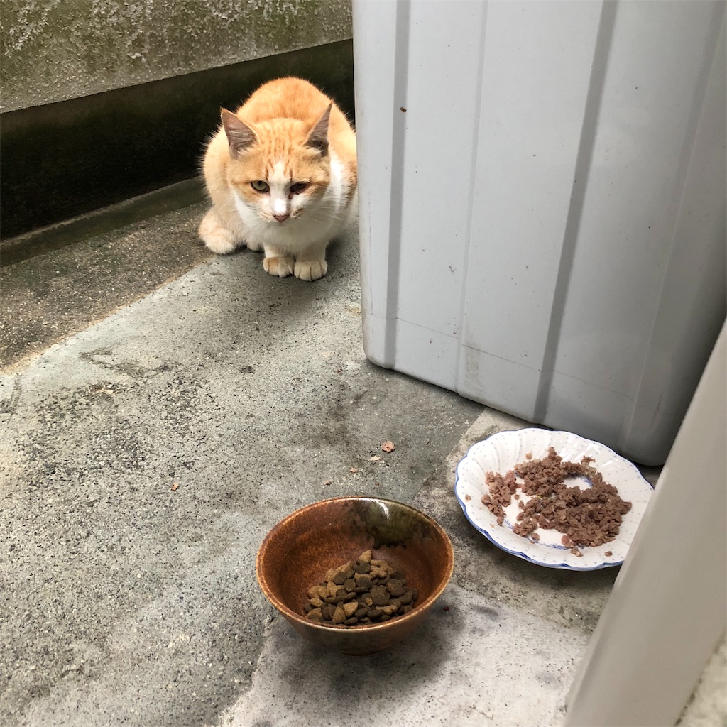 f:id:annesea:20181002224342j:image