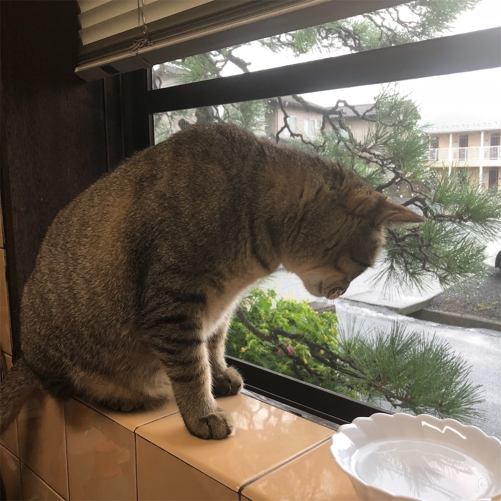 f:id:annesea:20181005124251j:image