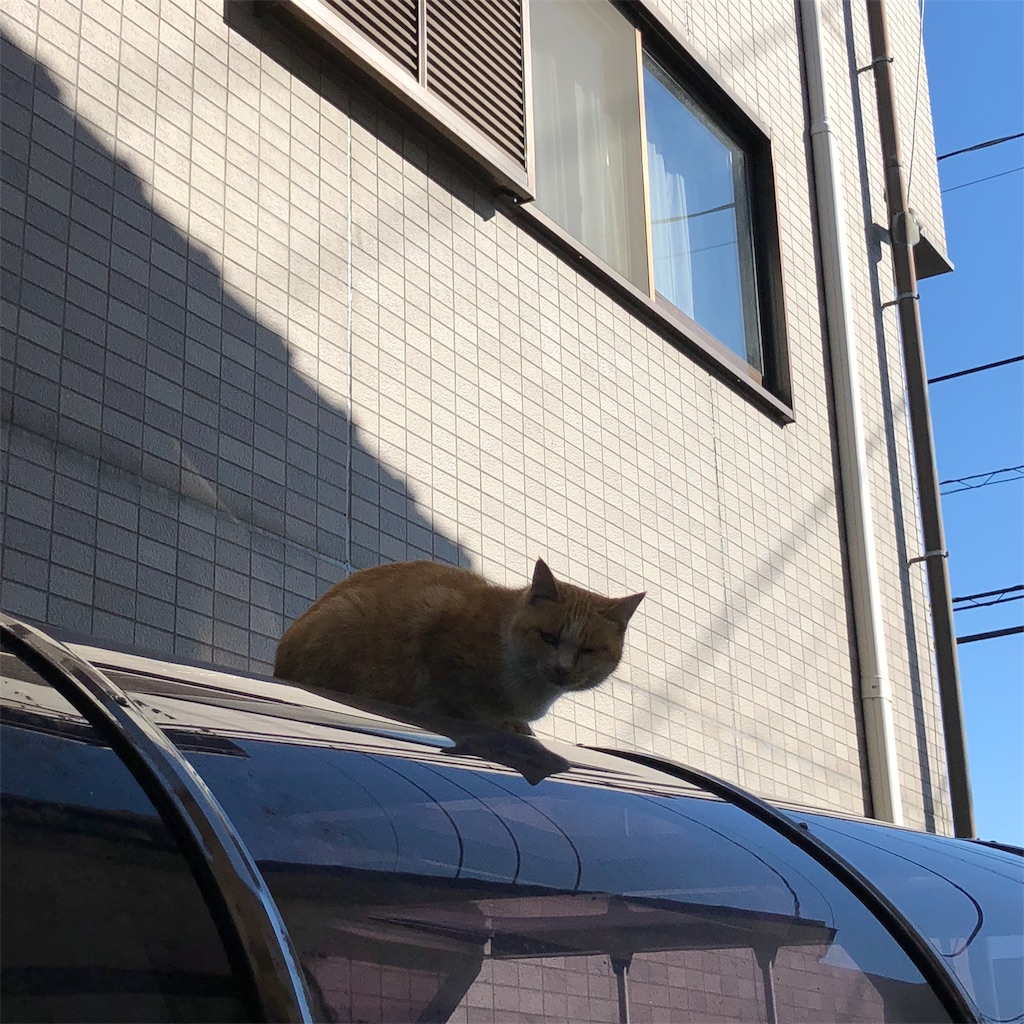 f:id:annesea:20181102104109j:image