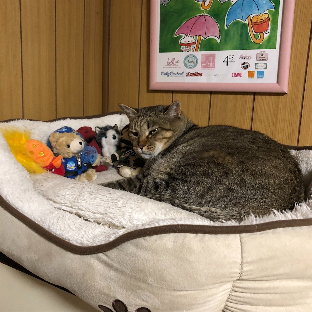 f:id:annesea:20181125000150j:image