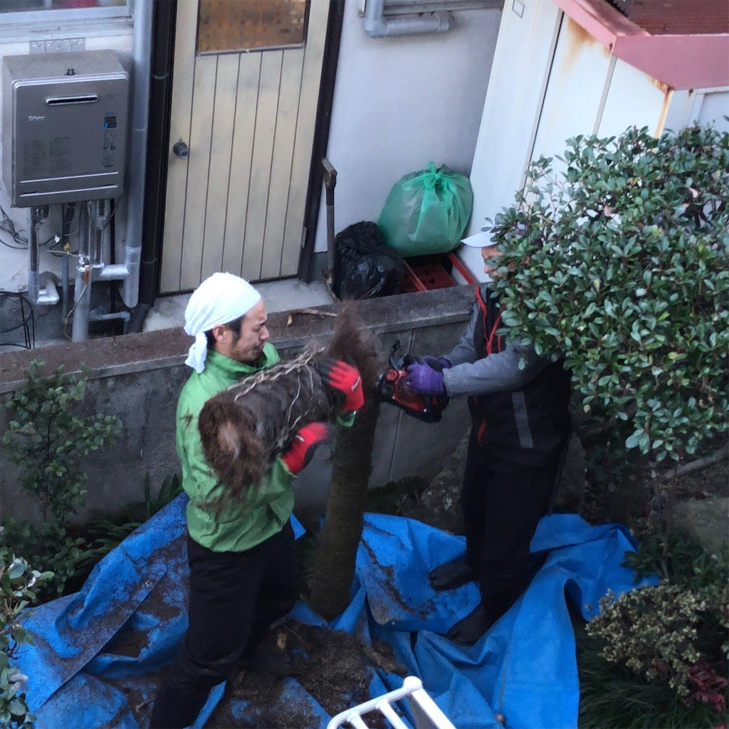 f:id:annesea:20181210000945j:image