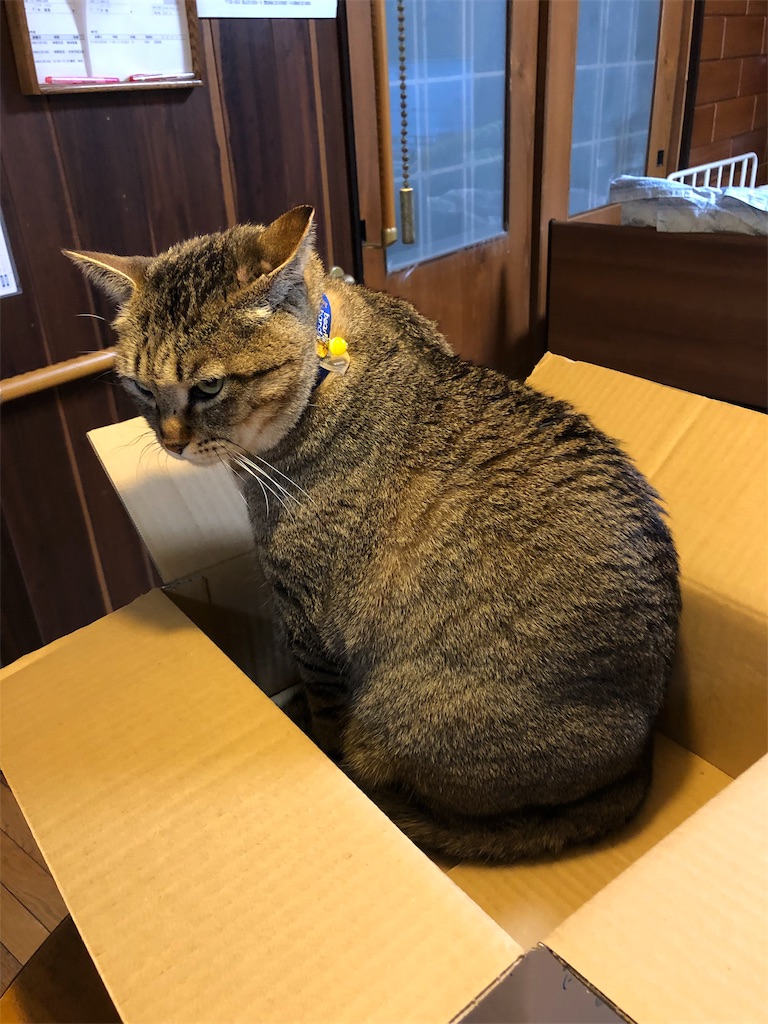 f:id:annesea:20181211231952j:image