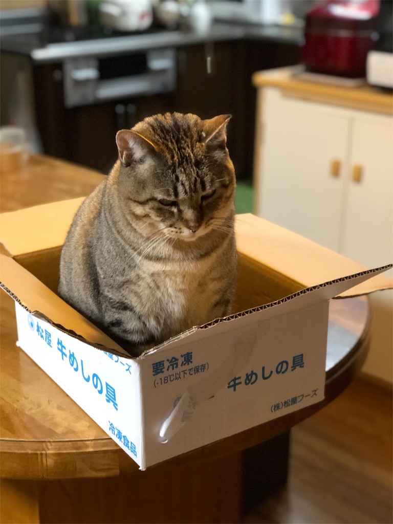 f:id:annesea:20181211232047j:image