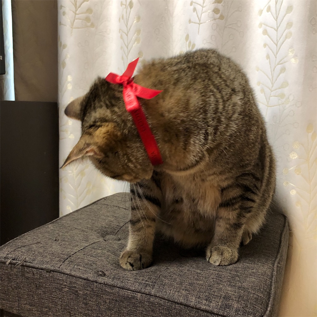 f:id:annesea:20181220153755j:image