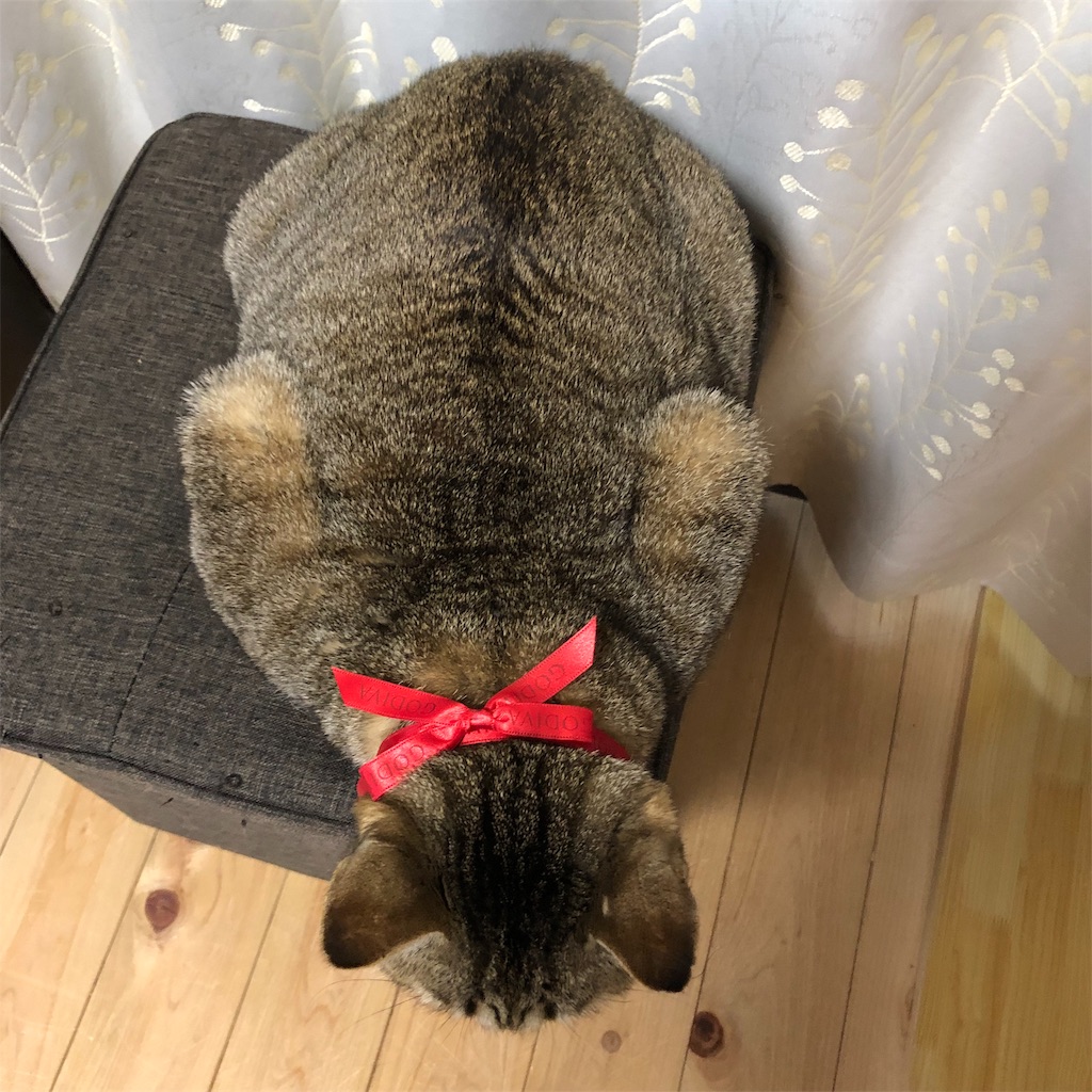f:id:annesea:20181220153839j:image