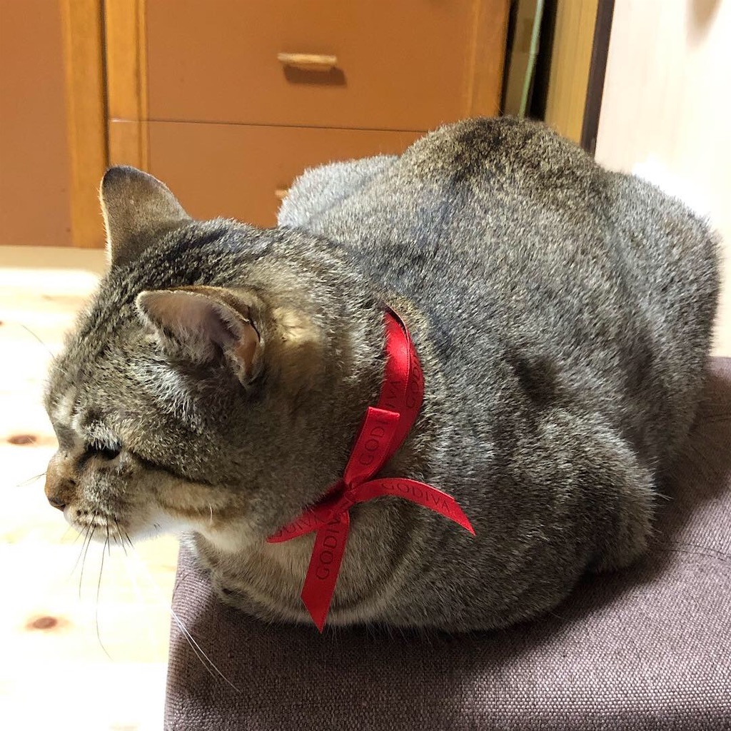 f:id:annesea:20181220153902j:image
