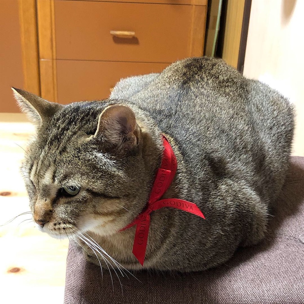 f:id:annesea:20181220153912j:image